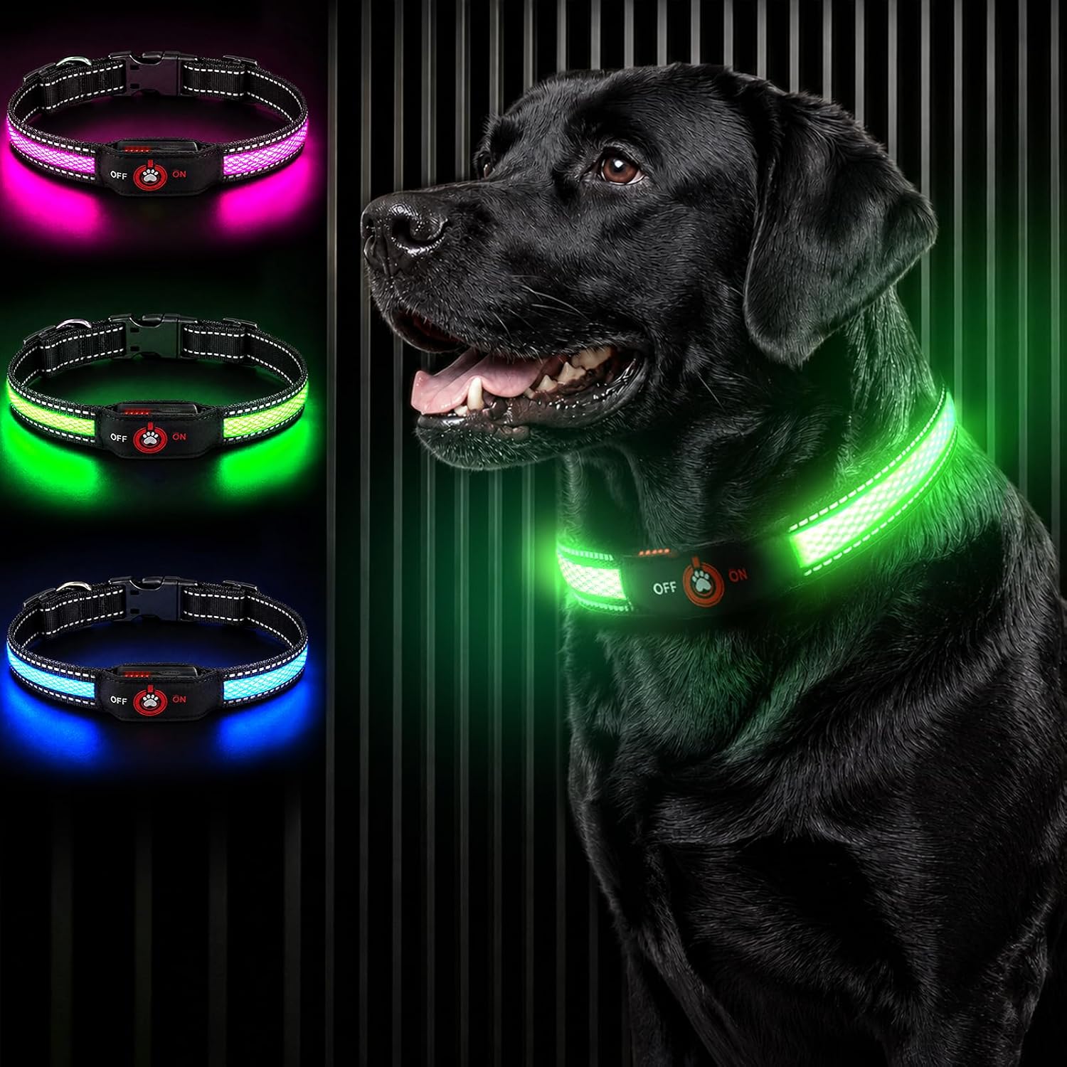 Detalle de Bamda LED Dog Collar, 300mAh