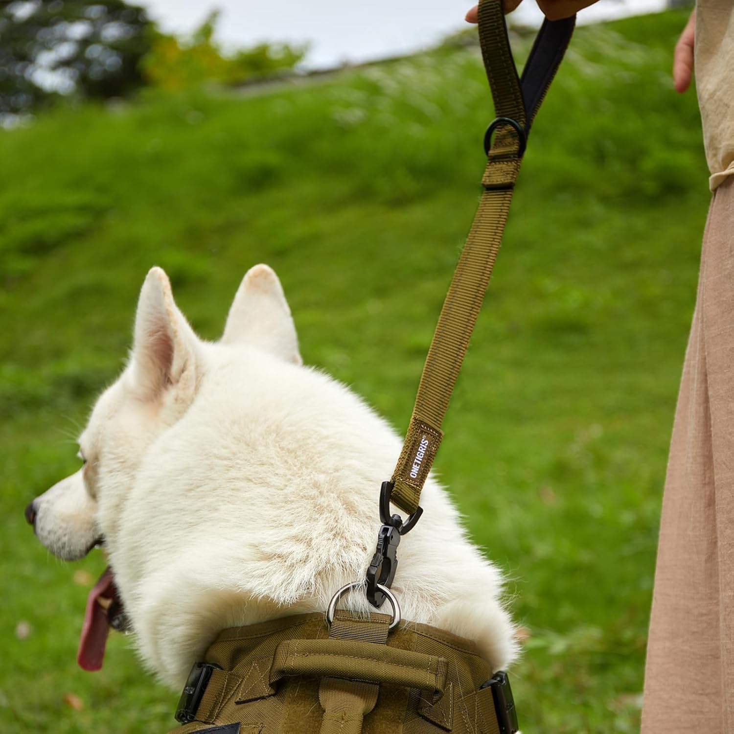 Detalle 2 de OneTigris Bolt Laisse courte pour chien 52 cm – Lente et robuste, pour chiens de taille moyenne à grande