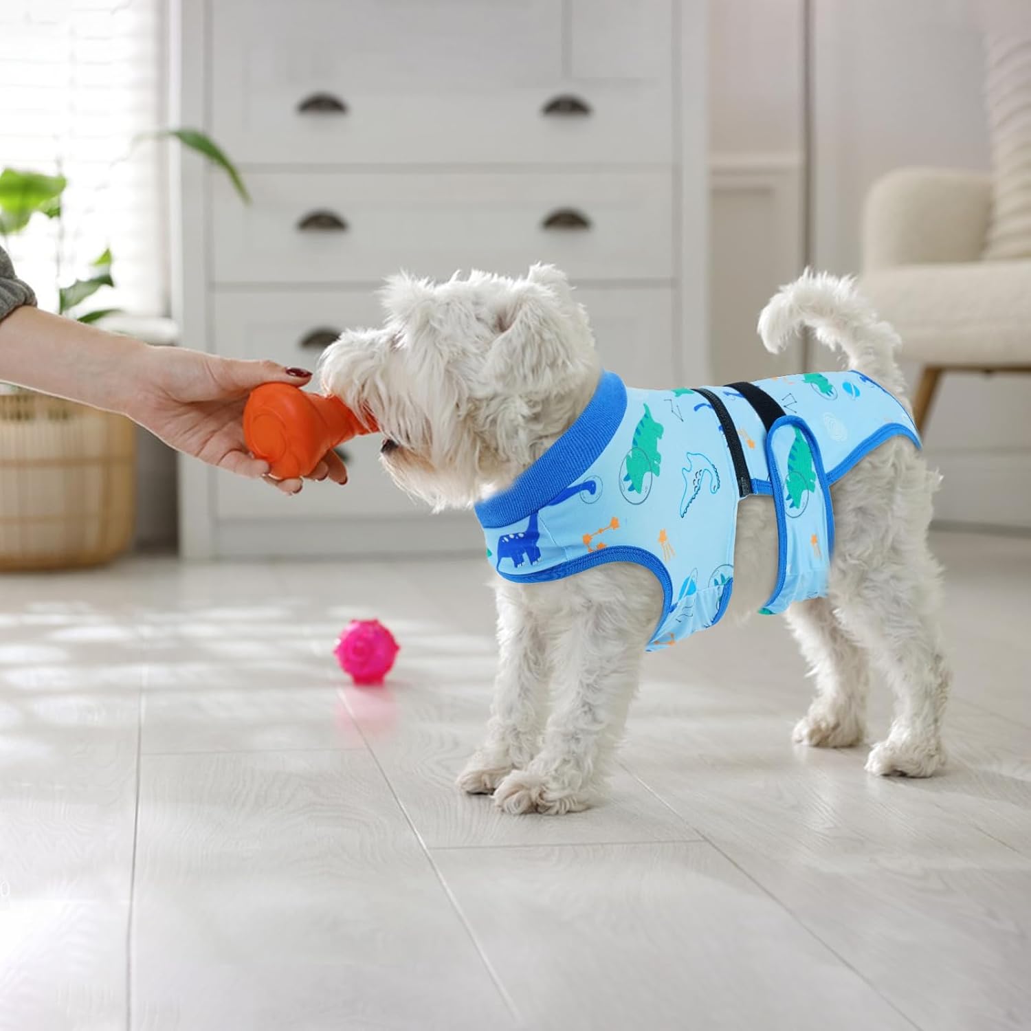 Thumbnail 6 de Lelepet Dog Nappy Female – Reusable, Washable Dog Incontinence and Heat Pants (XL) in Blue