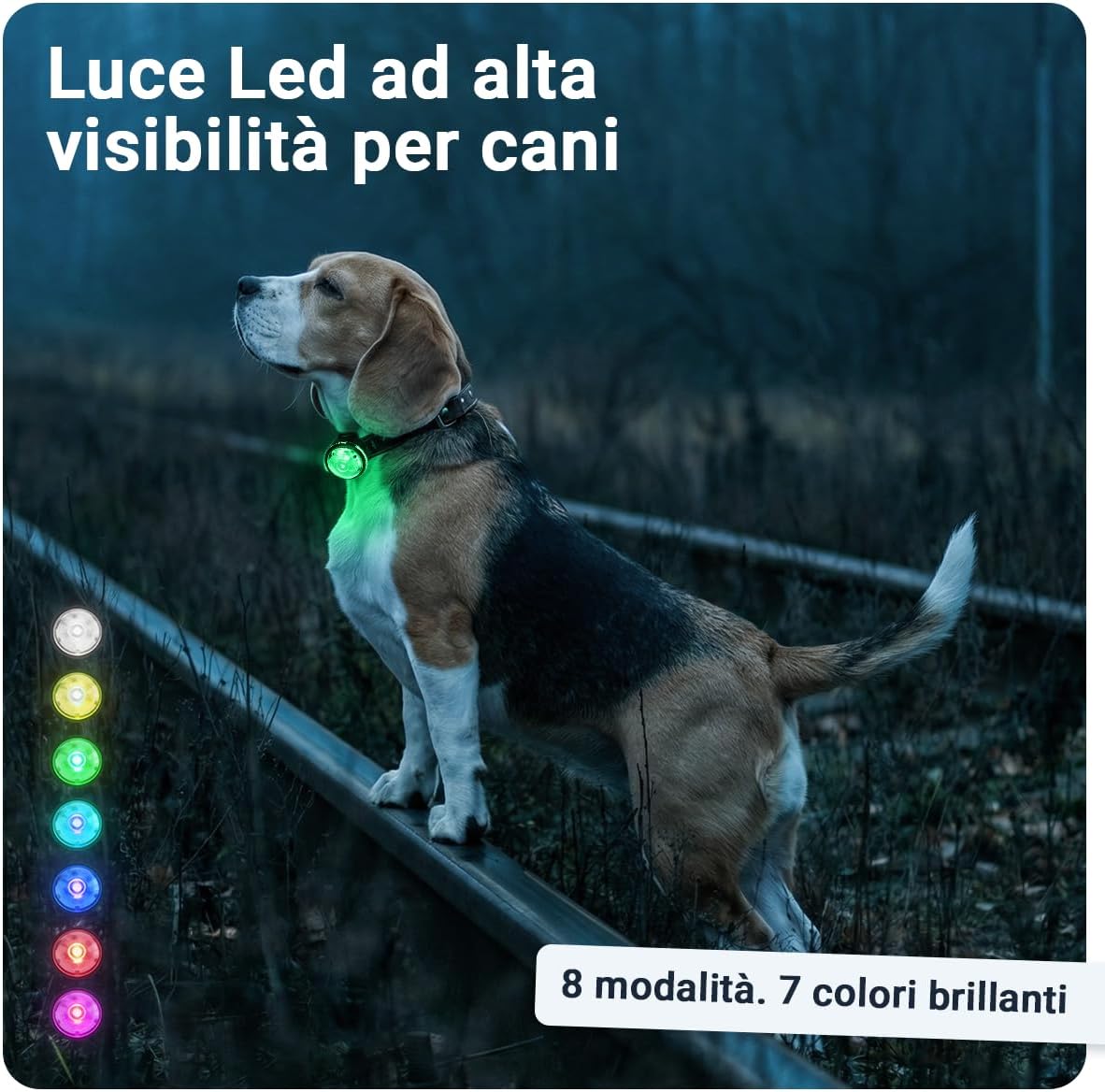 Detalle 2 de PAJ LIGHT MINI: LED ultraluminoso per collari e pettorine, 7 colori, 100% impermeabile
