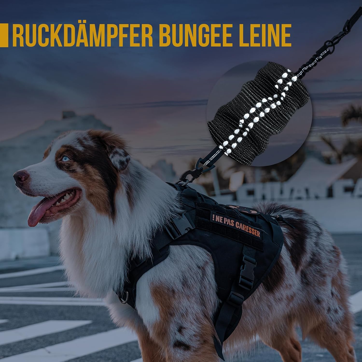 Detalle 2 de OneTigris Ammortizzatore per cani 51 cm con guinzaglio in nylon e moschettone girevole