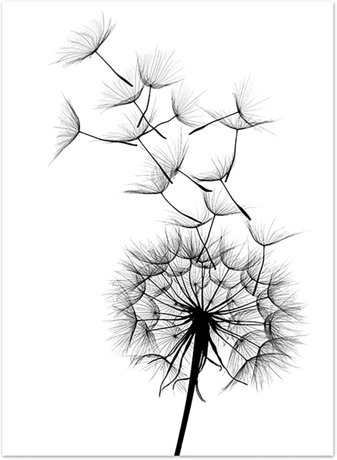 Thumbnail 5 de Trayosin 3er Set Premium Design-Poster Schwarz-Weiß mit Pusteblume – 3 rahmenlose Leinwanddrucke 30x40 cm