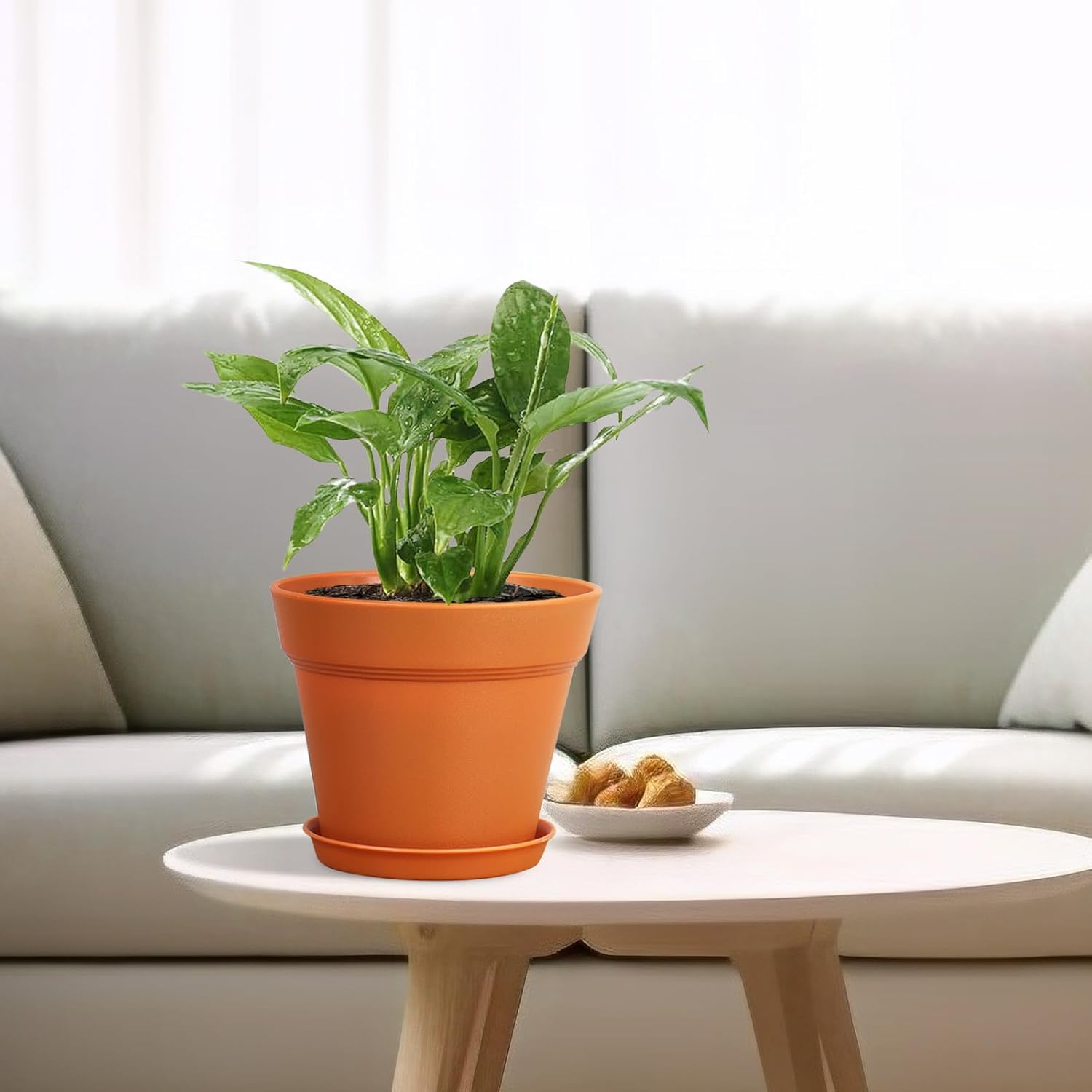 Thumbnail 4 de Homeuouz 8er-Set Blumentöpfe Ø10 cm mit Untersetzer – robustes Kunststoff-Set für Innen & Balkon