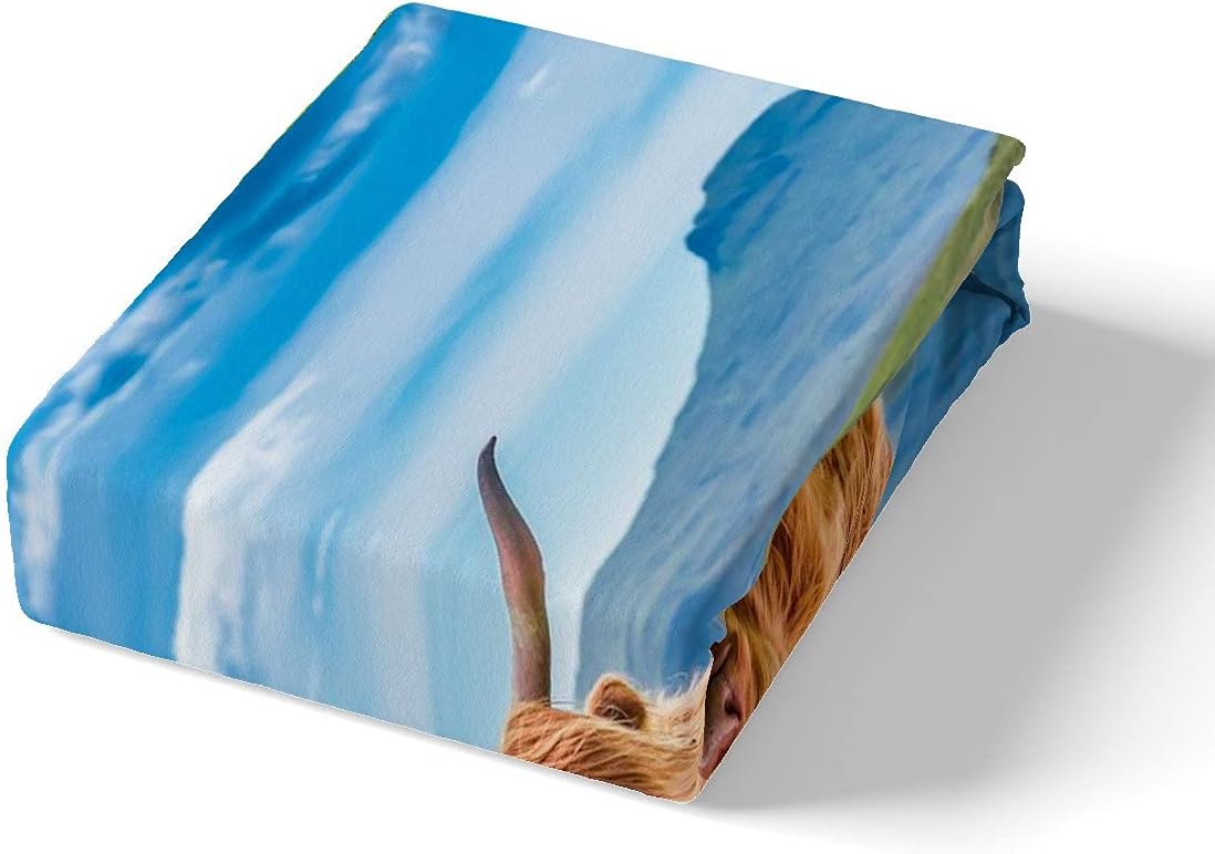 Thumbnail 1 de Homewish Hochlandkuh Trösterbezug Longhorn – Bettbezug 135x200 und Kissen 80x80, Grünland Rustic, 100% Mikrofasern