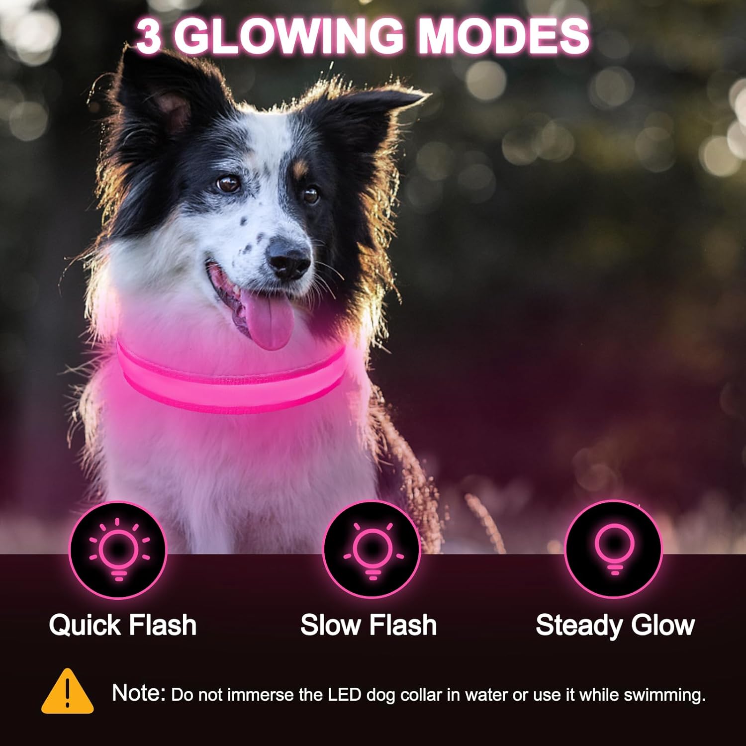 Thumbnail 1 de Nepfaivy Light Up Dog Collar with USB Rechargeable LED Lights (Pink-L) for Night Walks