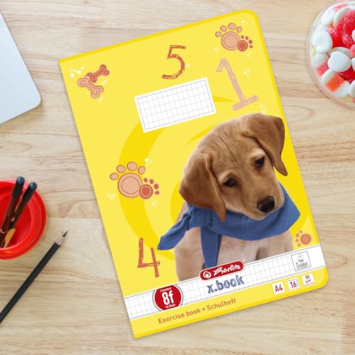 Thumbnail 6 de Herlitz Schulheft A4, Lineatur 8f, rautiert, Rand 5x7 mm, 16 Blatt (32 Seiten), 10er Pack