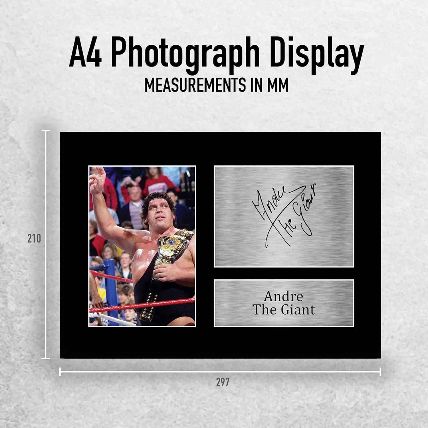Thumbnail 1 de HWC Trading A4 Andre the Giant signed autograph display picture (A4) for WWE & WWF memorabilia fans