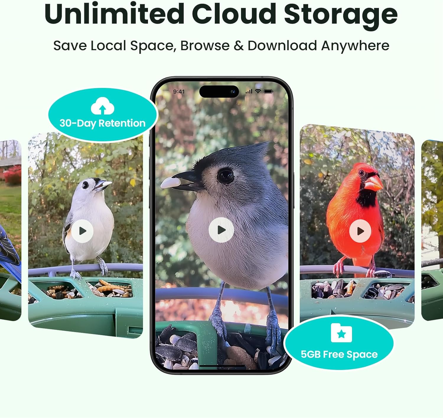 Thumbnail 6 de Birdfy 2 Smart Bird Feeder with Camera – Dual-Lens 2K + 1080P, Solar Powered
