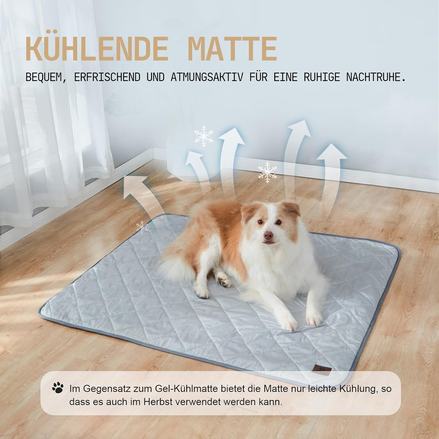 Thumbnail 3 de Snocyo Kühldecke für Hunde: wasserdicht, kühl & plüsch – 125 × 106 cm