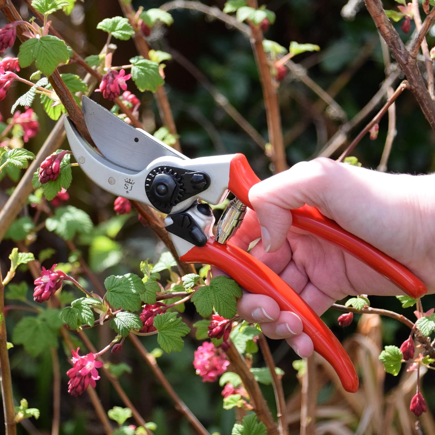 Thumbnail 3 de Spear & Jackson 6659BS/13 Heavy Duty Bypass Secateurs