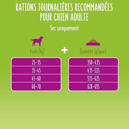 Thumbnail 10 de FRISKIES Maxi - Croquettes pour Chiens Adultes de Grande Taille au Bœuf (Sac 12 kg)