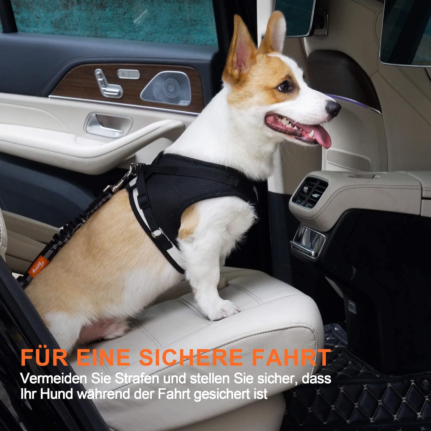 Thumbnail 5 de Toozey Hundegurt verstellbar 55â75 cm đ