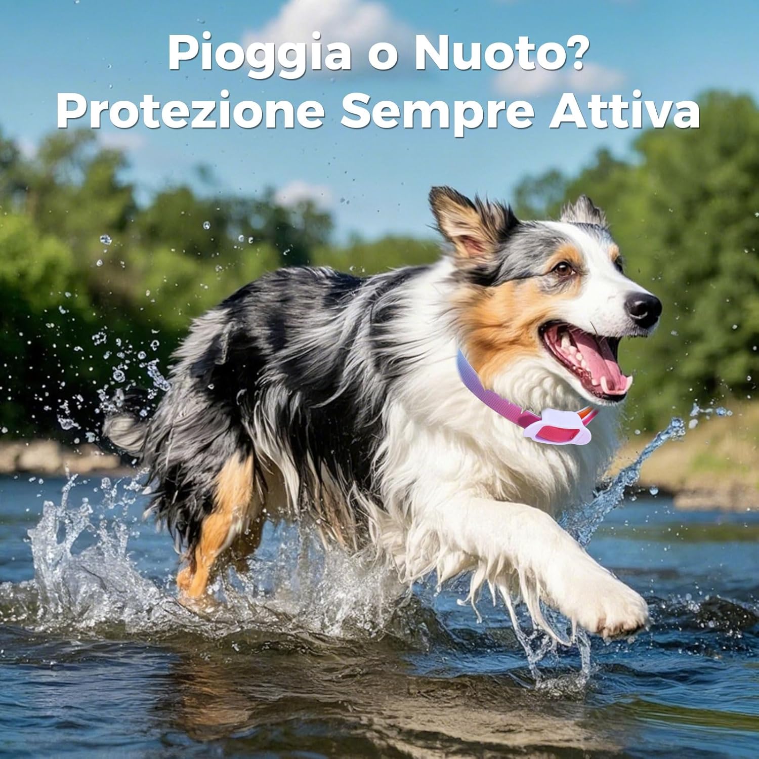 Detalle de Collare antiparassitario per cani 69 cm: impermeabile, regolabile e con uso consigliato di 8 mesi