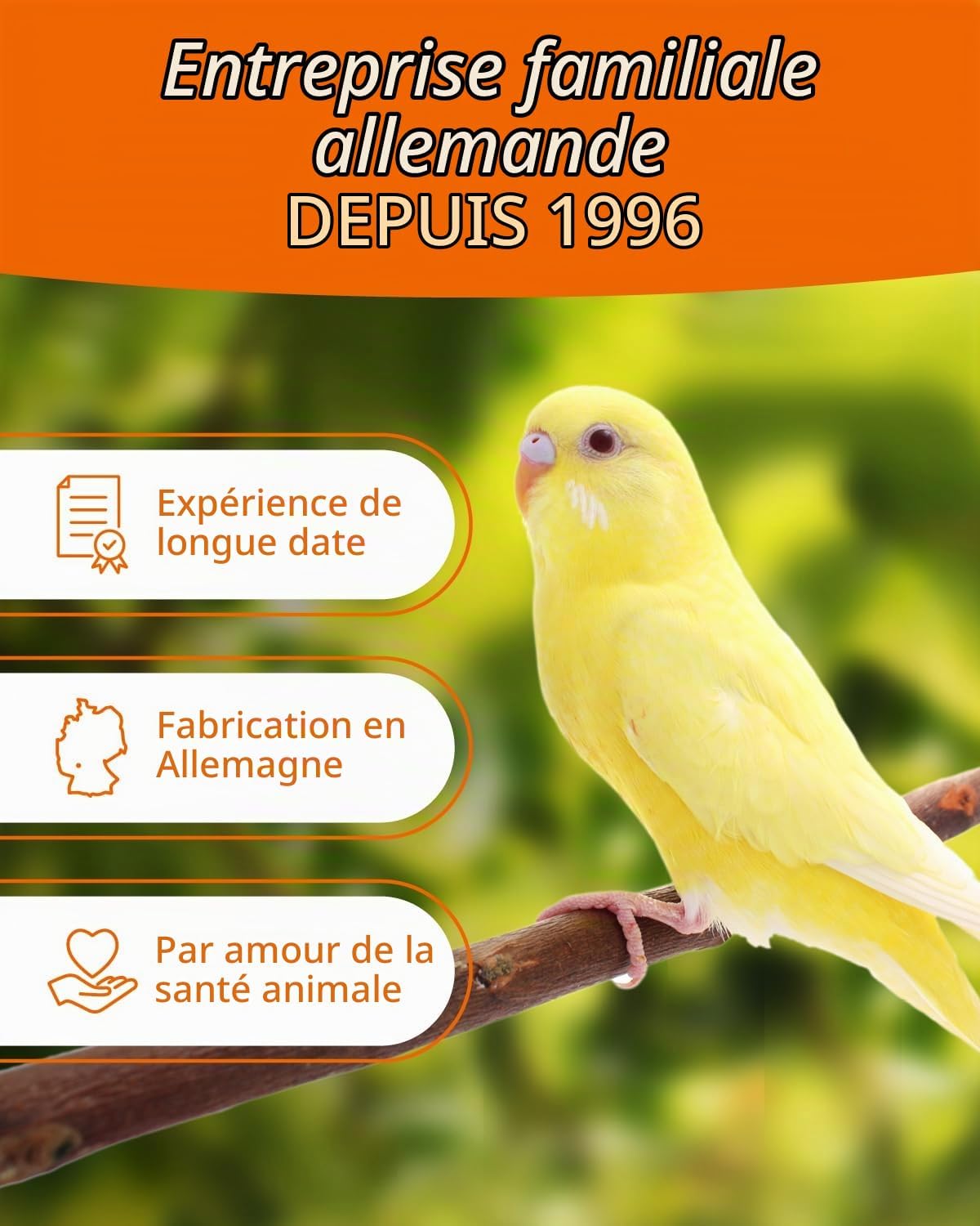 Thumbnail 6 de petifool Rode zuigergierst 500 g voor siervogels, 100% natuurlijk