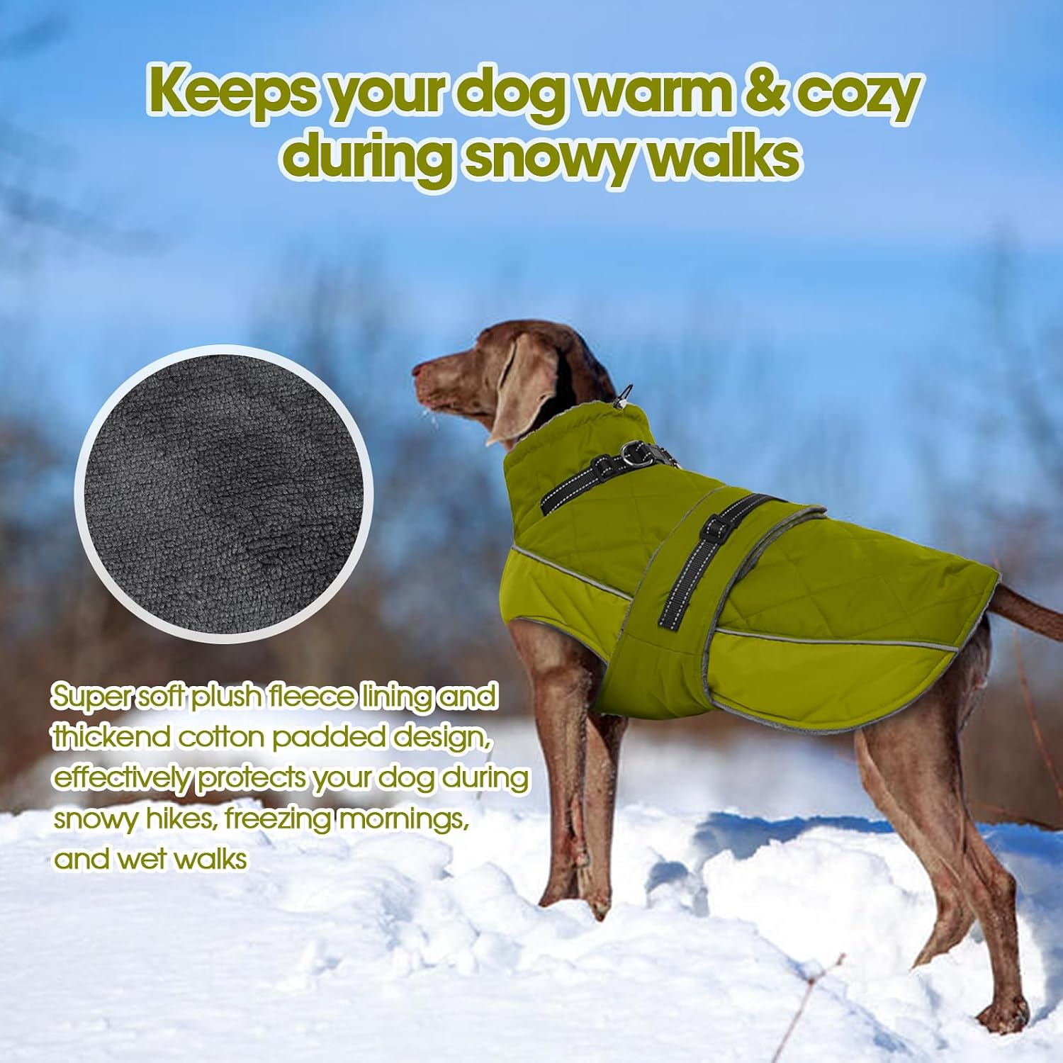 Detalle de QBLEEV Waterproof Dog Jacket