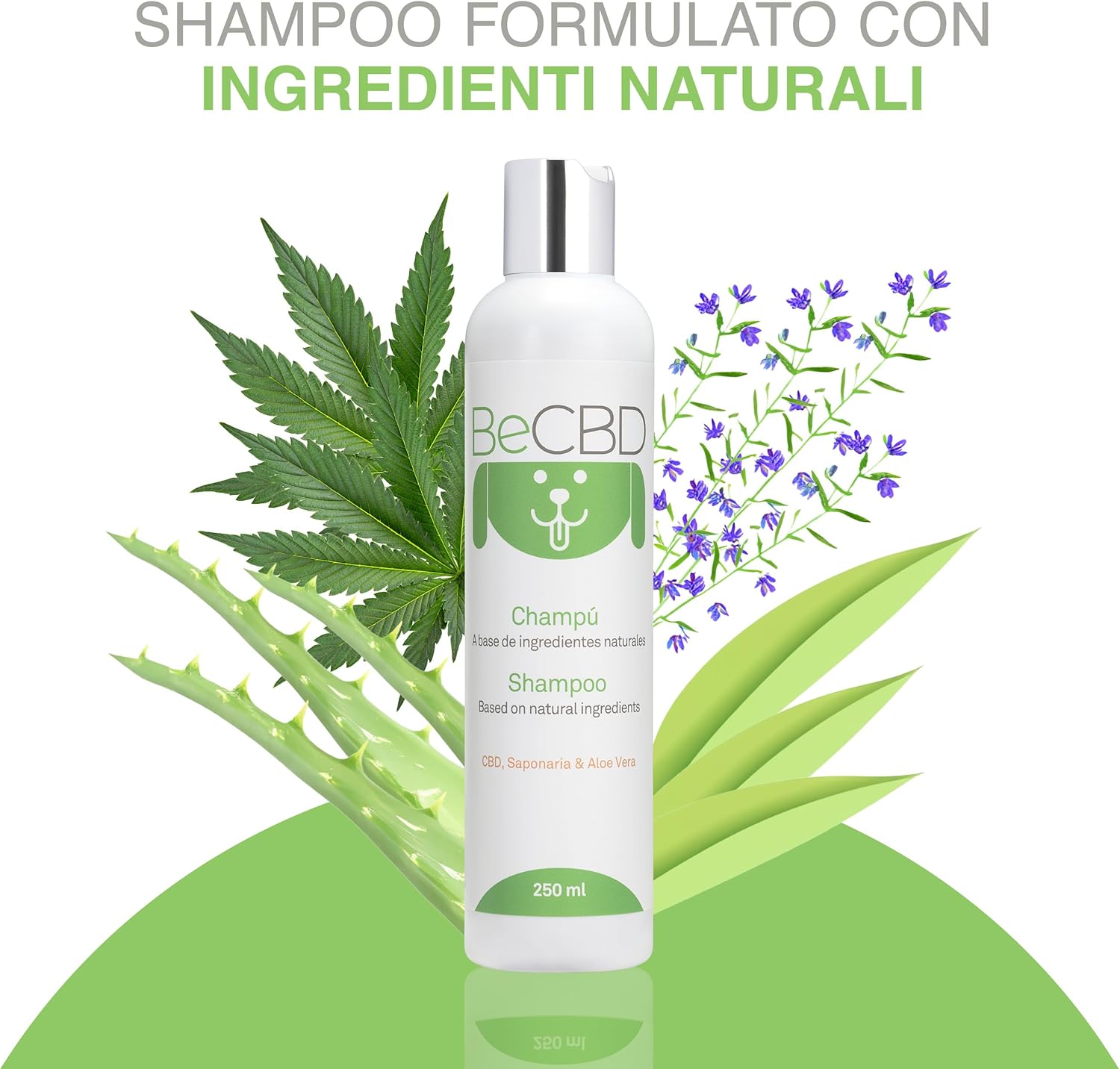 Thumbnail 1 de BeCBD Shampoo naturale per cani 250 ml