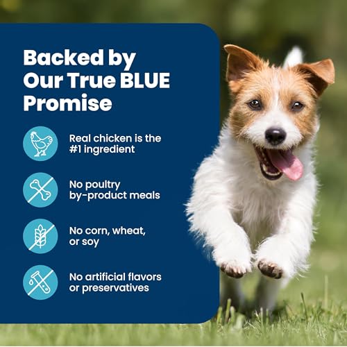 Thumbnail 6 de Blue Buffalo Life Protection Formula Chicken Small Breed Dry Dog Food, 5 lb