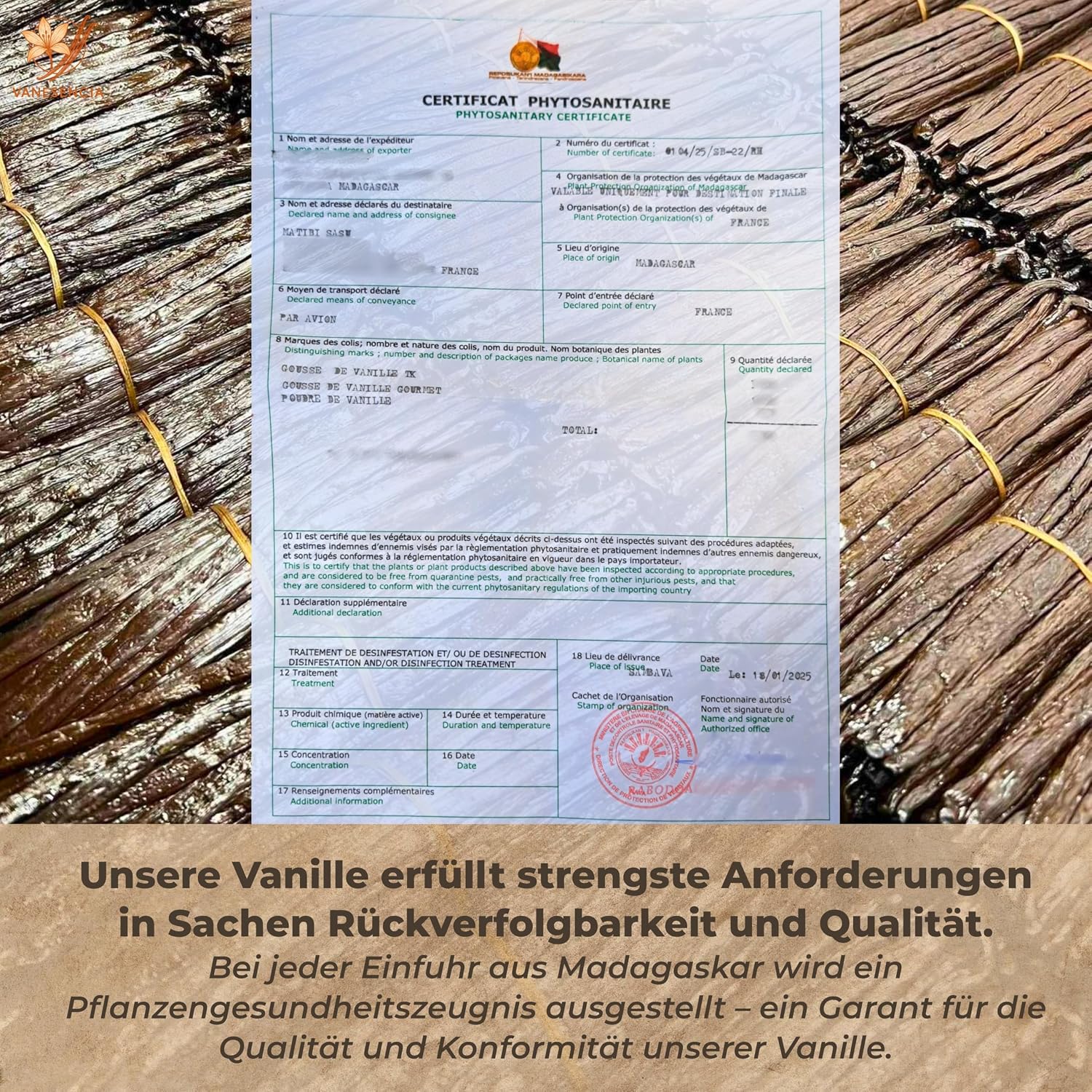 Detalle 2 de 7 Stück Vanilleschoten XL 15–18 cm | Bourbon Vanille aus Madagaskar – GRAND CRU