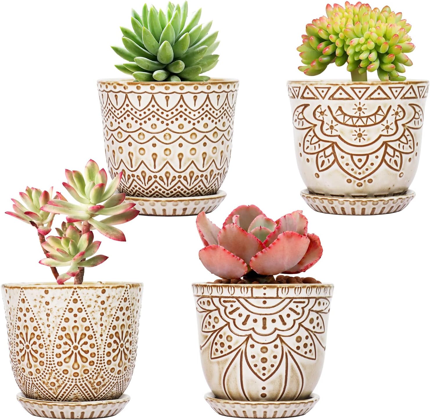 Detalle de Gepege 4-Inch Ceramic Succulent Pots with Drainage, Saucers, Set of 4