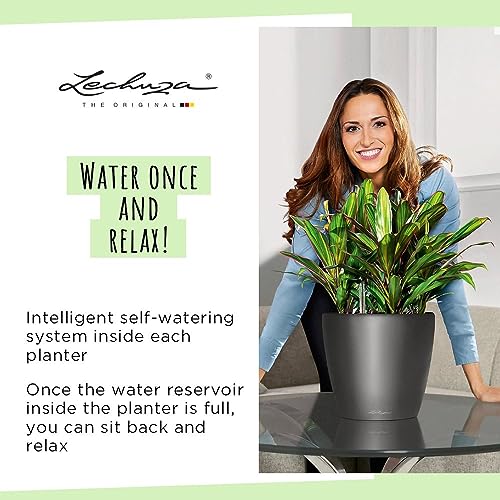 Thumbnail 5 de Lechuza Clásico Premium 35 macetero jardín 43 x 43 x 39 cm antracita