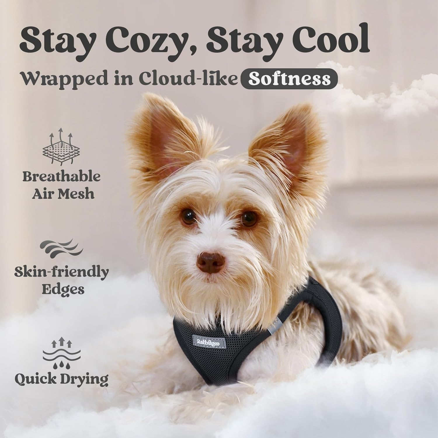 Thumbnail 2 de rabbitgoo Small Dog Step-in Soft Mesh Puppy Harness (Reflective Strips) — Size M