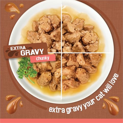 Detalle 2 de Purina Friskies Extra Gravy Wet Cat Food Chunky Variety Pack (Chicken, Turkey, Salmon, Beef) — 24x5.5 oz Cans
