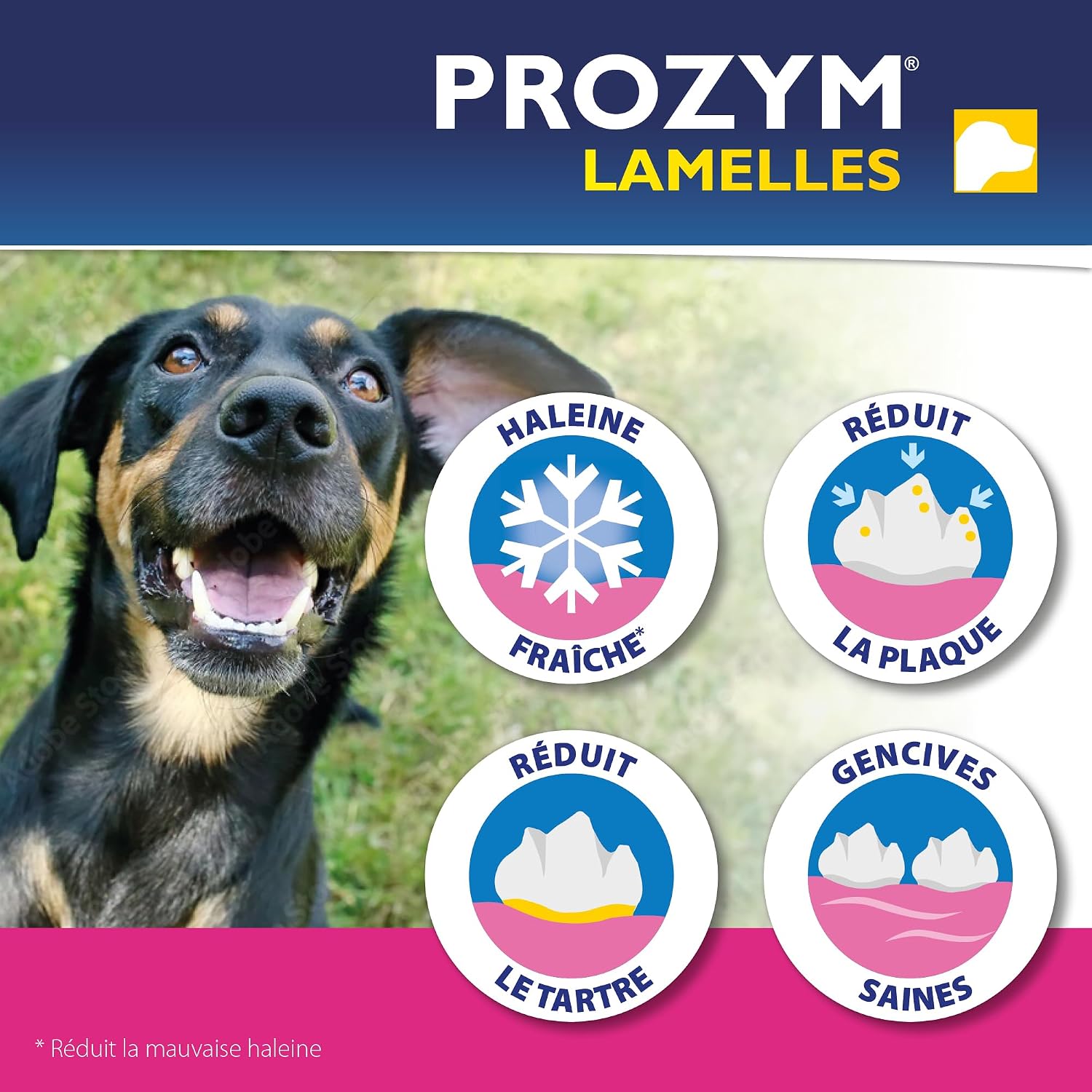 Detalle de Prozym 15 Lamelles – Soin dentaire à mâcher pour chiens (S)