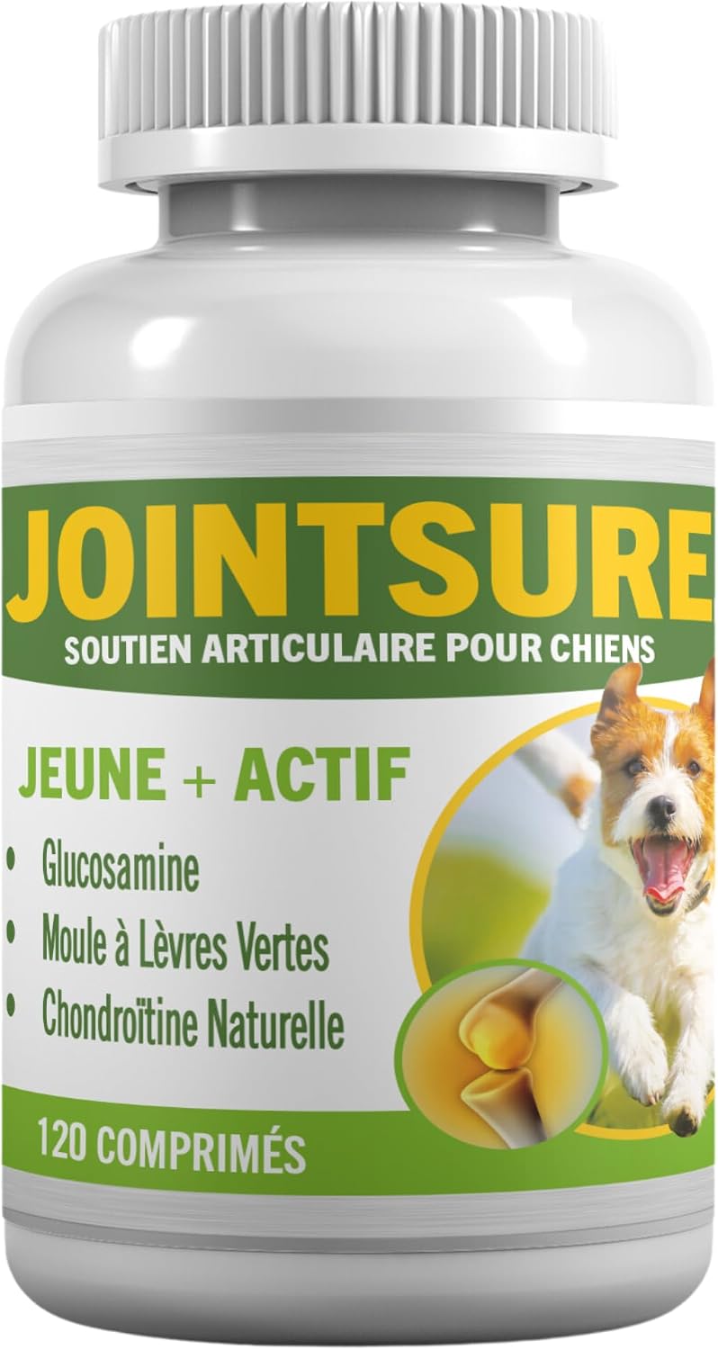 JOINTSURE Compléments d'articulation pour chiens – Moule verte, glucosamine et chondroïtine, 120 comprimés
