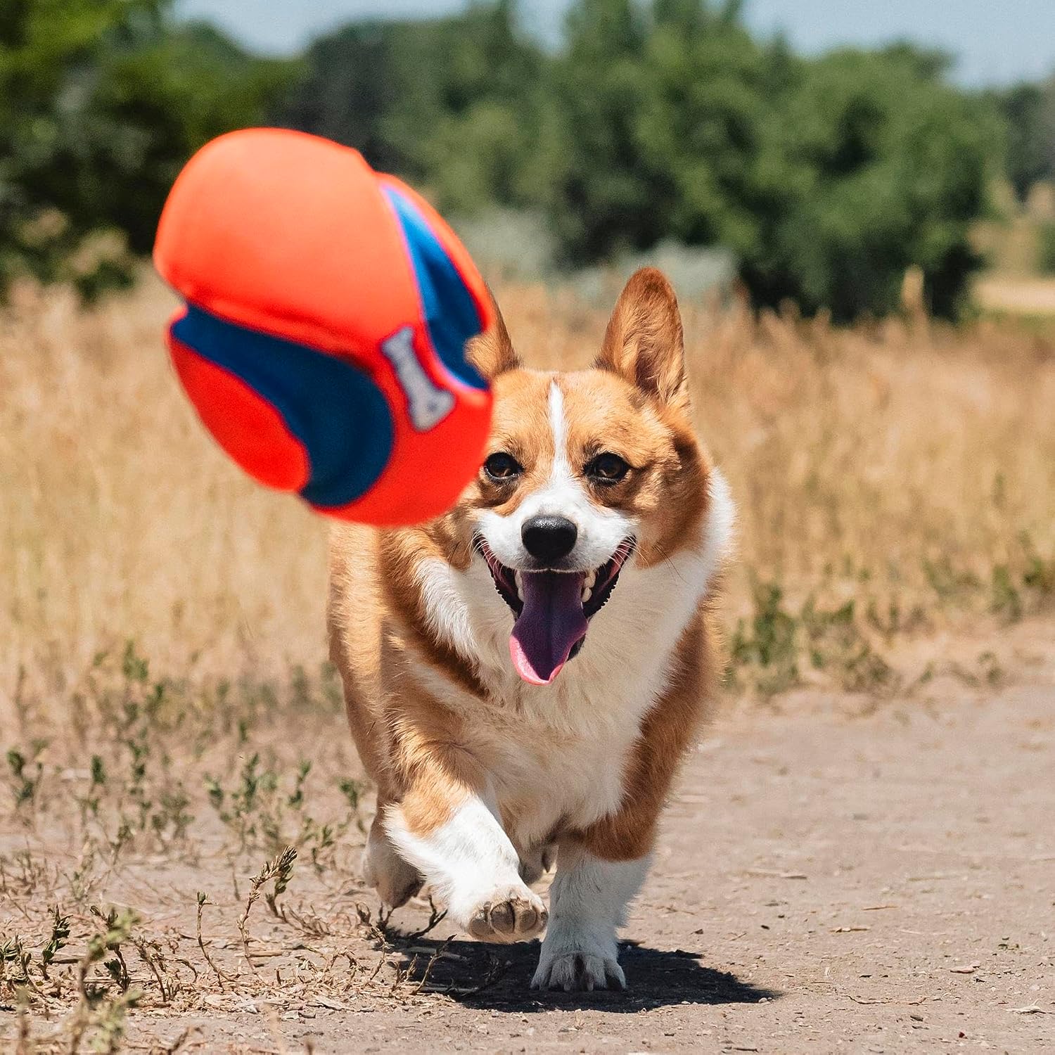 Thumbnail 5 de Chuckit! Fumble Fetch 13×20 cm jouet chien