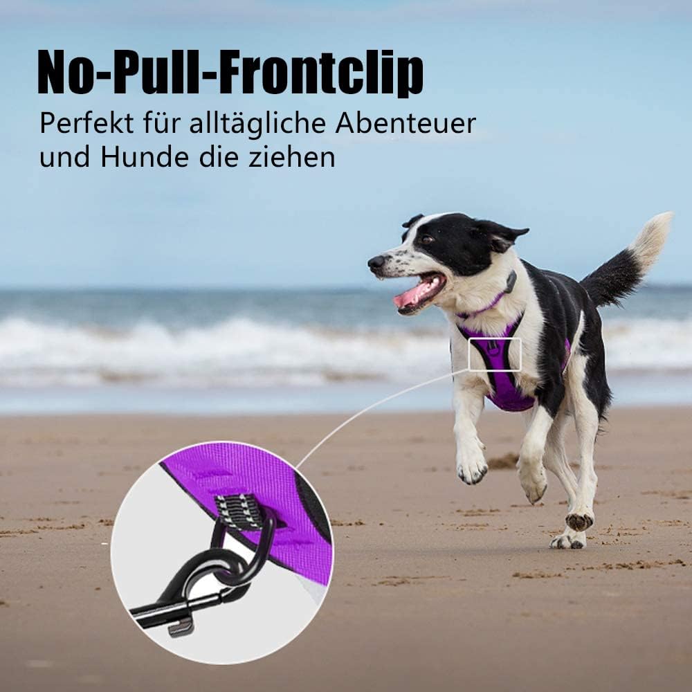Thumbnail 3 de PoyPet No Pull Hundegeschirr – Reflektierendes Zwei-Leinenbefestigungsgeschirr, Größe M, Violett (1er Pack)