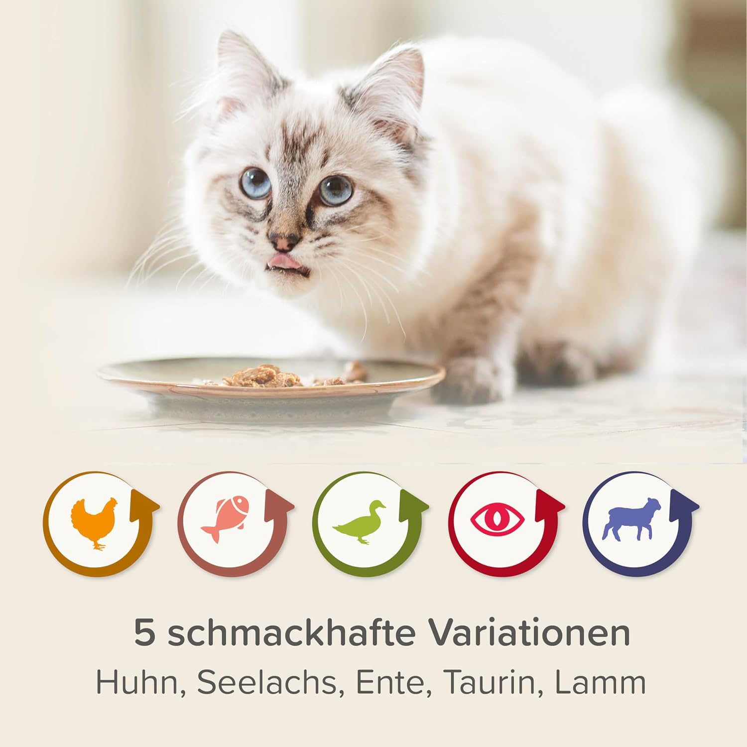Detalle de BEAPHAR Nierendiät Mix Pack – Diätalleinfuttermittel für Katzen mit chronischer Niereninsuffizienz, 6x100 g