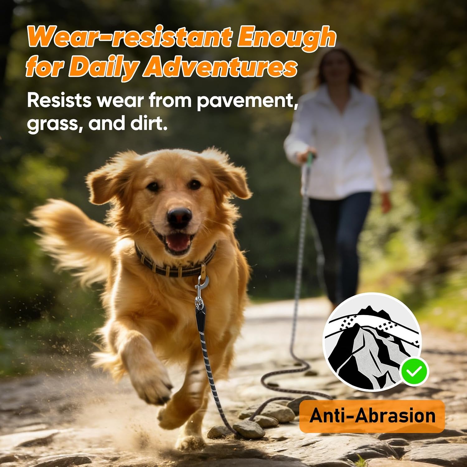 Detalle de Aystkniet Reflective Training Leads for Dogs 30M