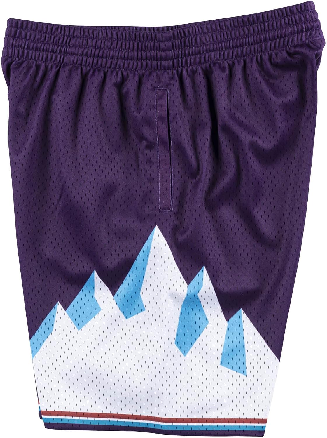 Detalle 2 de Mitchell & Ness NBA Swingman Pantaloncini 2.0 2024