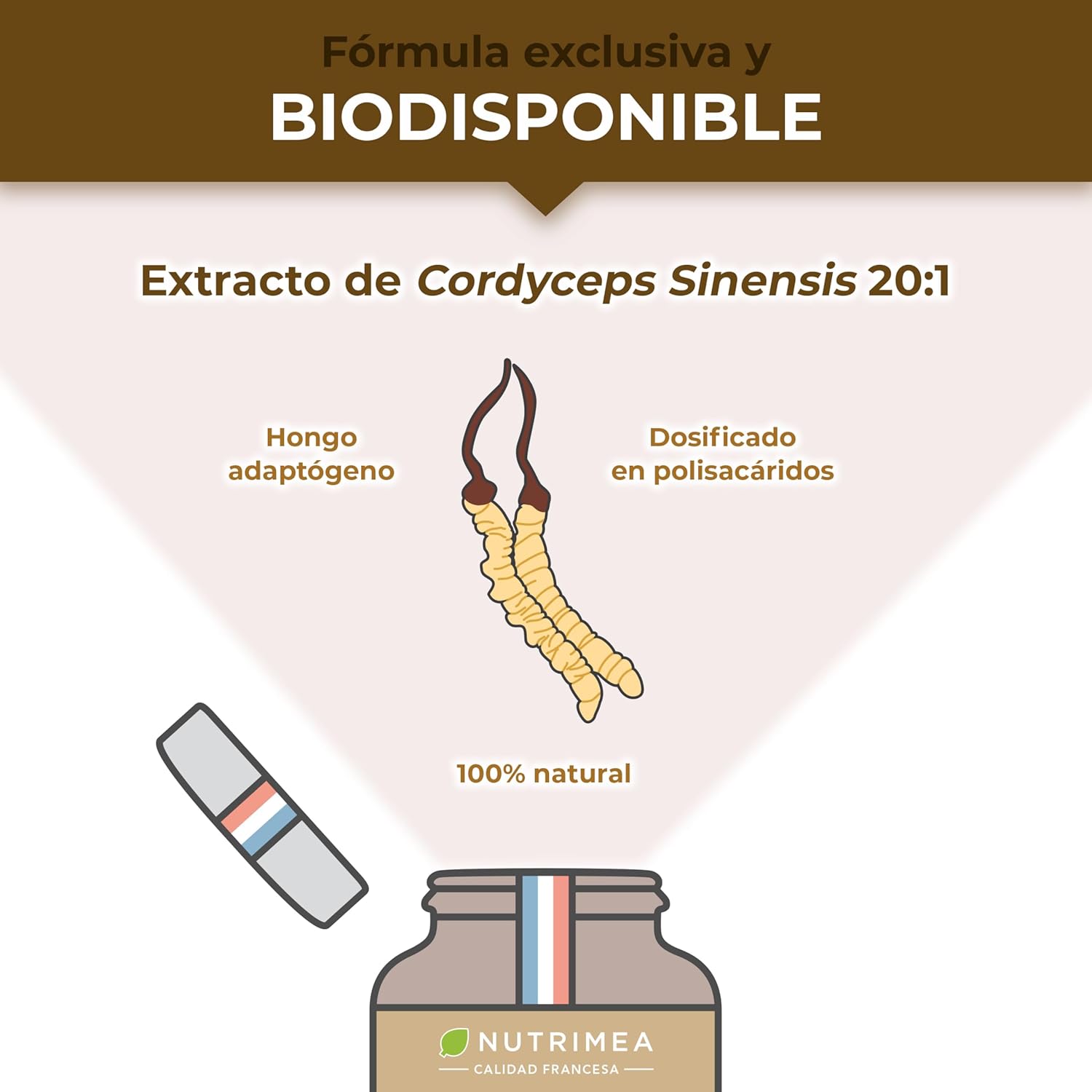 Detalle 2 de Nutrimea Cordyceps 🍄 Extracto Micelio 20:1 22200 mg