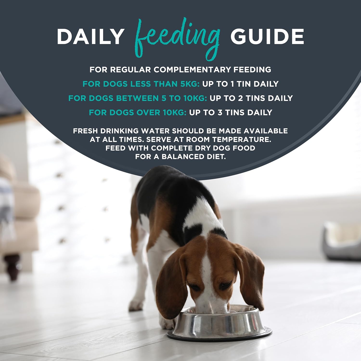 Detalle de Encore Natural Wet Dog Food Tin 12x156g: Chicken Breast with Rice in Broth