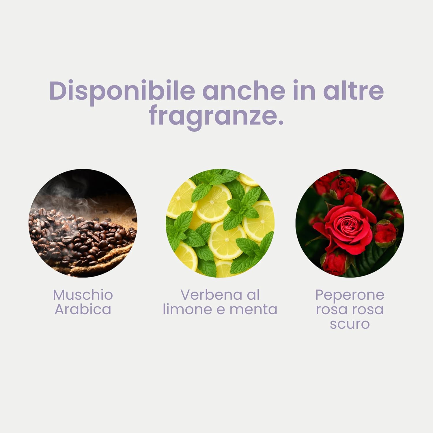 Detalle 2 de Jean & Len Detergente Corpo e Mani Marrakech Garden 500 ml: pulizia profumata e vegana