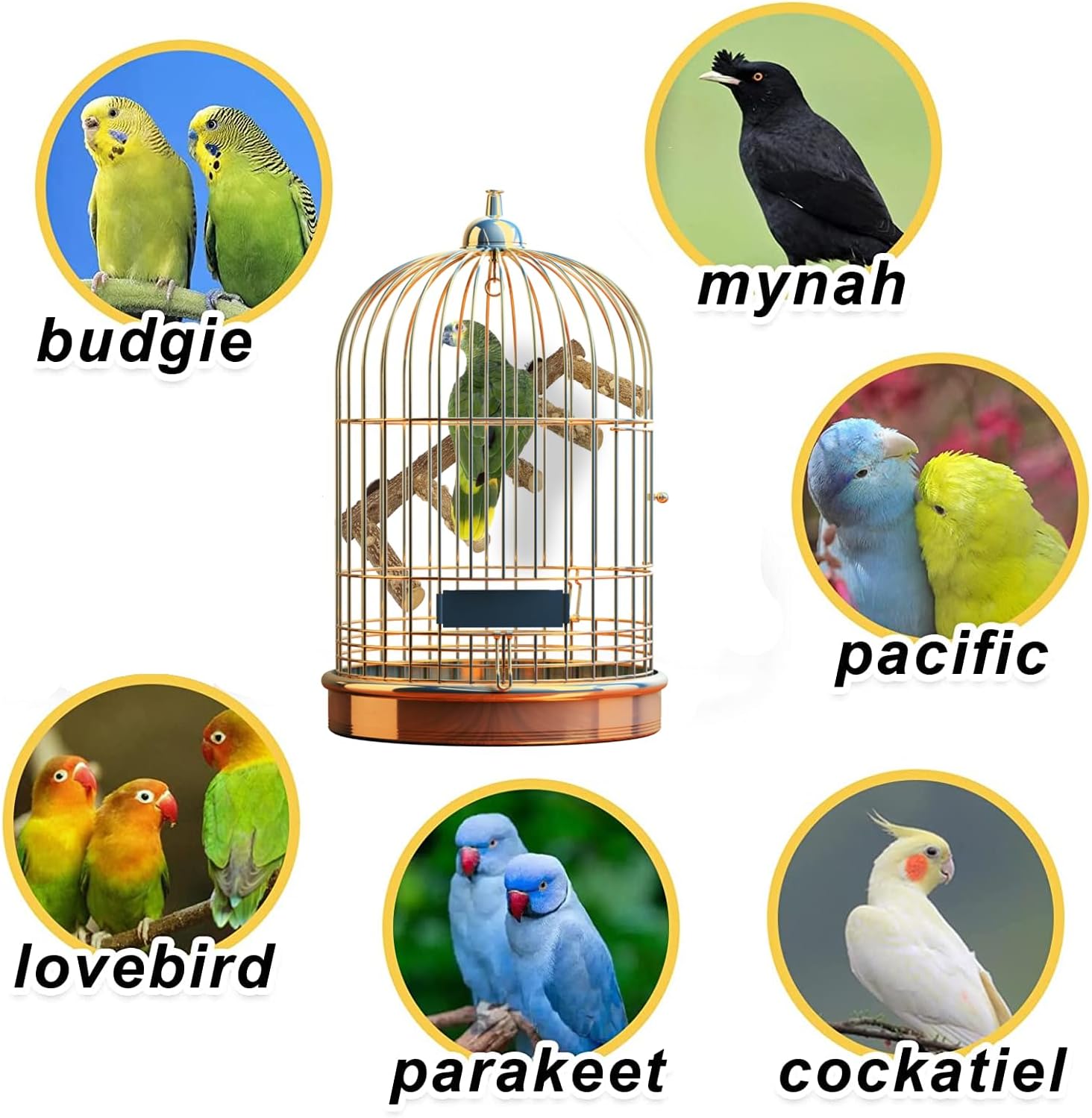 Detalle 2 de QeeHeng Natural Wood Parrot Perch Ladder (Budgie/Small Parrot Cage Accessory)
