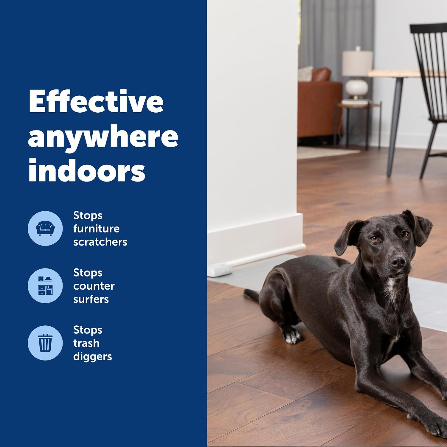 Detalle 1 de PetSafe Indoor Training Mat