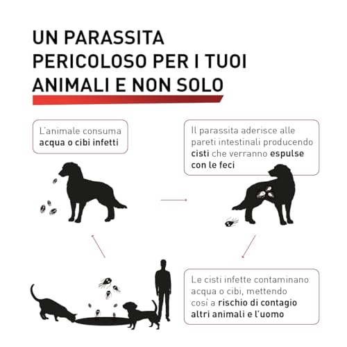 Detalle de Panacur Compresse 250mg – Vermifugo per cani e gatti, agisce contro Giardia e vermi intestinali