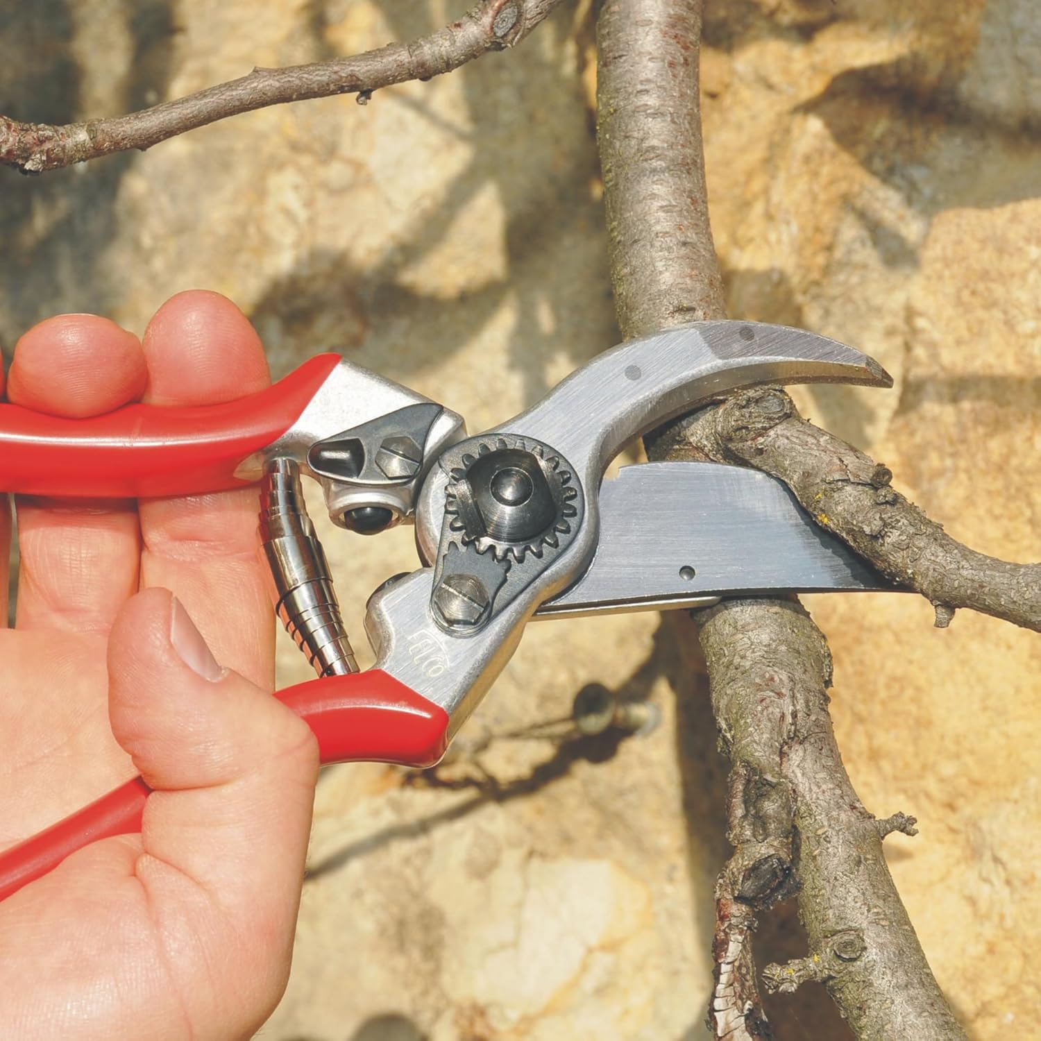 Detalle de FELCO 2: cesoia bypass professionale per destri, lama acciaio temprato 41 mm, manici in alluminio forgiano