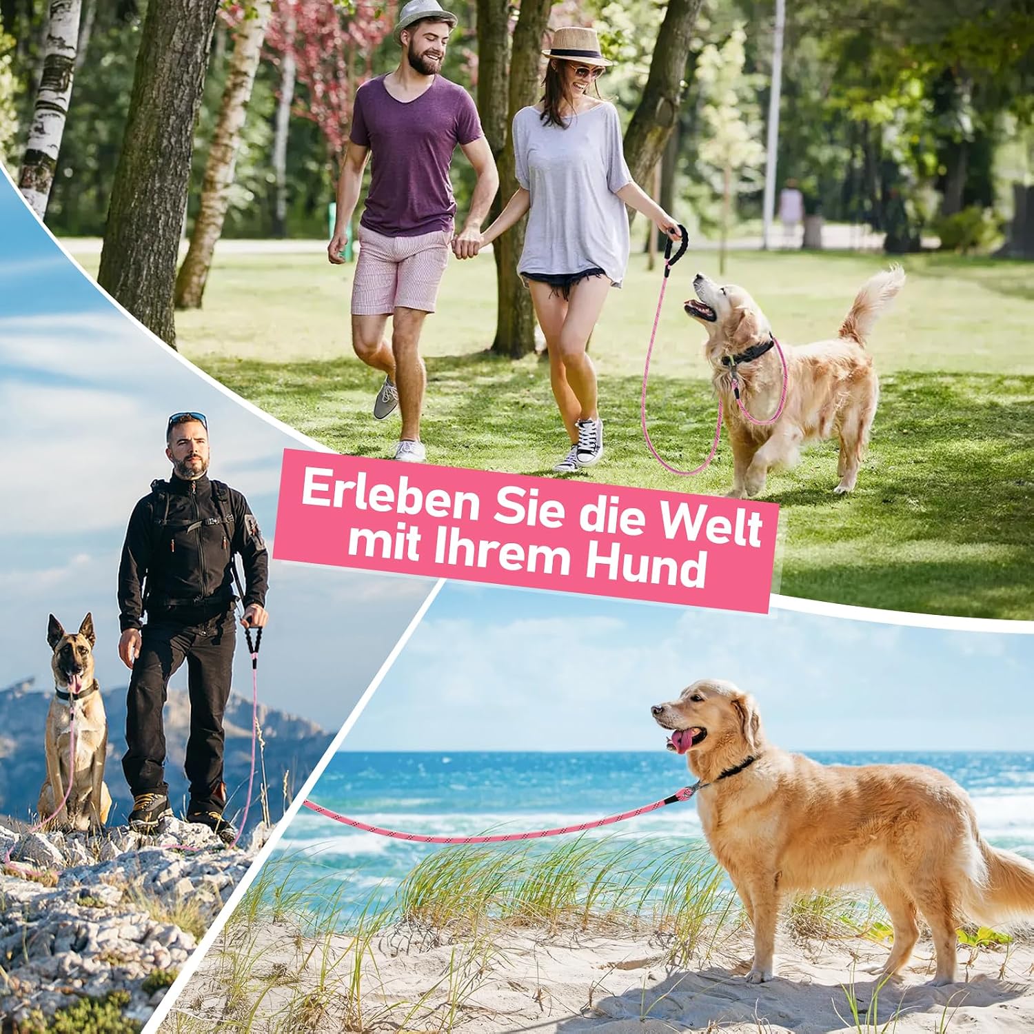Thumbnail 6 de X XBEN Schleppleine für Hunde 10 m