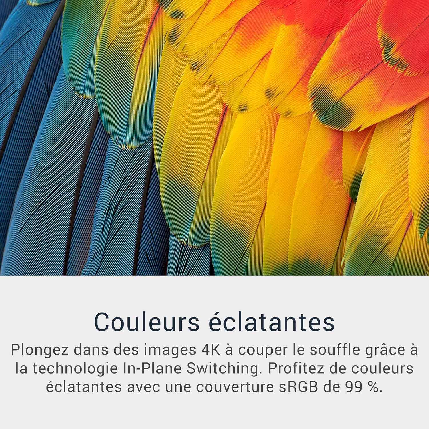 Thumbnail 3 de Dell S3225QS 32" 4K UHD 120 Hz VA : écran PC incurvé avec FreeSync Premium, HDR10 et réglage en hauteur