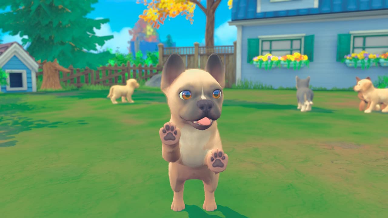 Detalle de My Universe – Hunde- und Katzenbabys für Nintendo Switch: Rassen, Mini‑Spiele und Betreuung