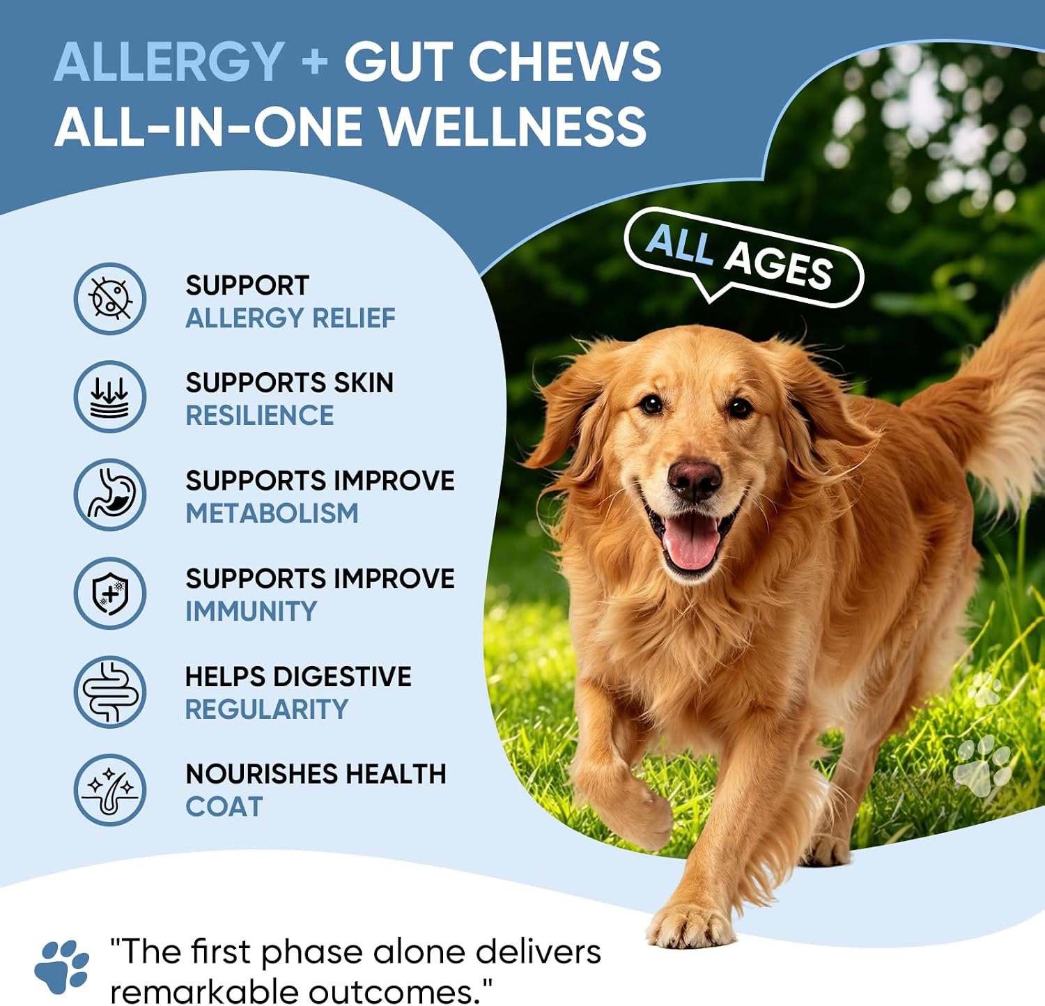 Thumbnail 2 de Dog Allergy Chews, 200-count
