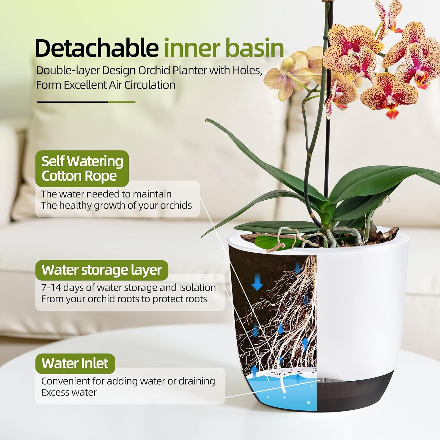 Detalle 2 de QCQHDU 7.2in self-watering orchid pots