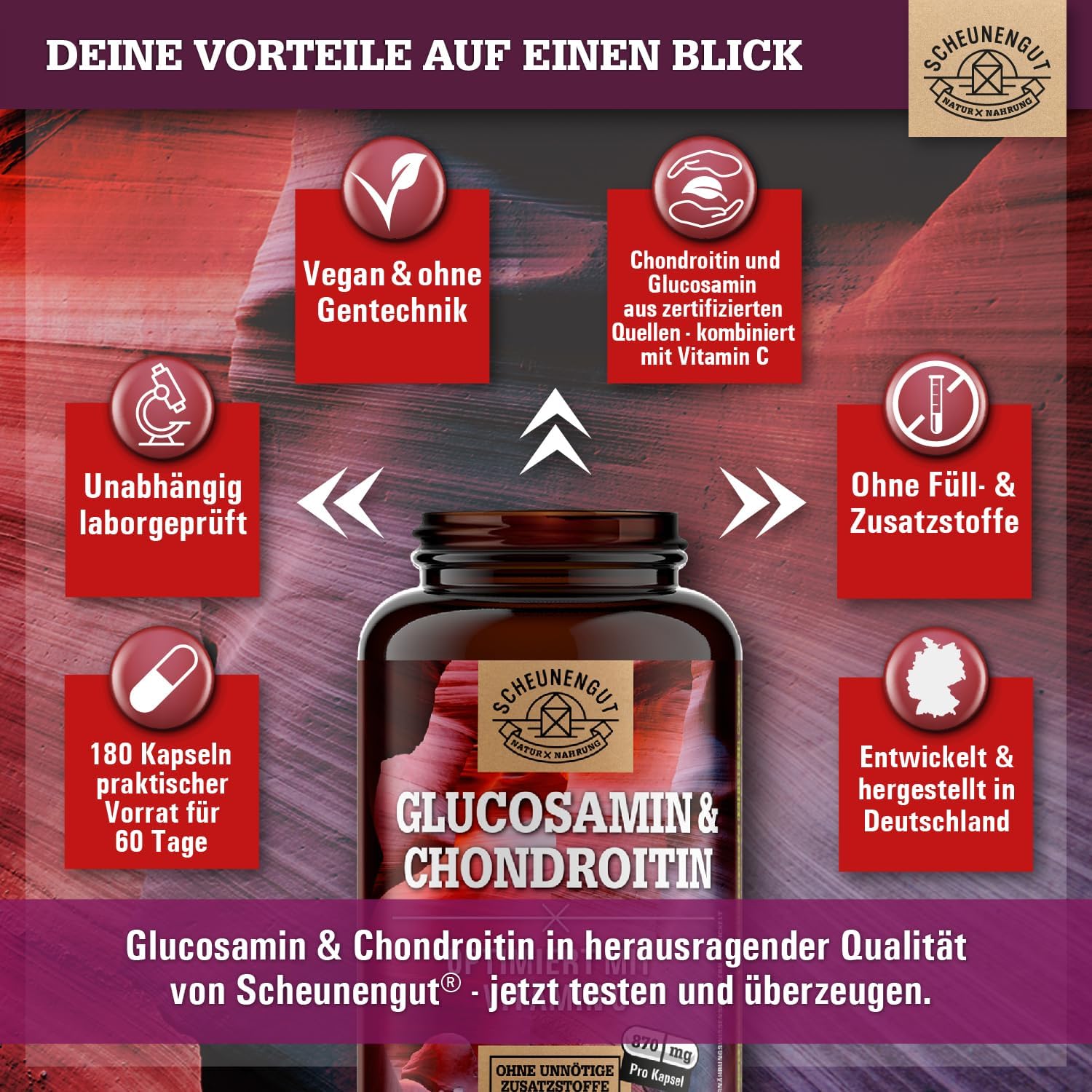 Thumbnail 5 de Glucosamin Chondroitin Hochdosiert (2.630 mg/Tag) mit Vitamin C – DE Scheunengut® Kapseln, laborgeprüft