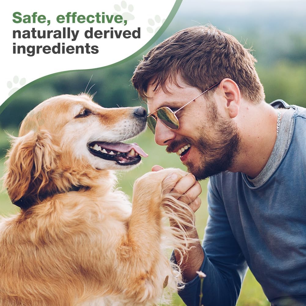 Thumbnail 5 de Aomig Spray per la cura dentale per cani e gatti da 200 ml