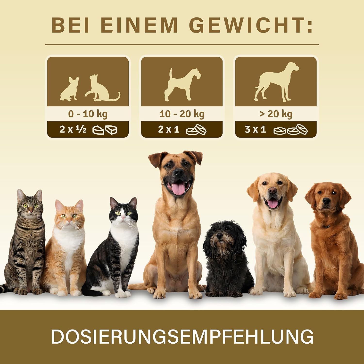 Detalle de Veddelholzer 50 Diarrhoe Kautabletten – Diät-Ergänzungsmittel für Hunde & Katzen mit Präbiotika & pflanzlichen Inhaltsstoffen