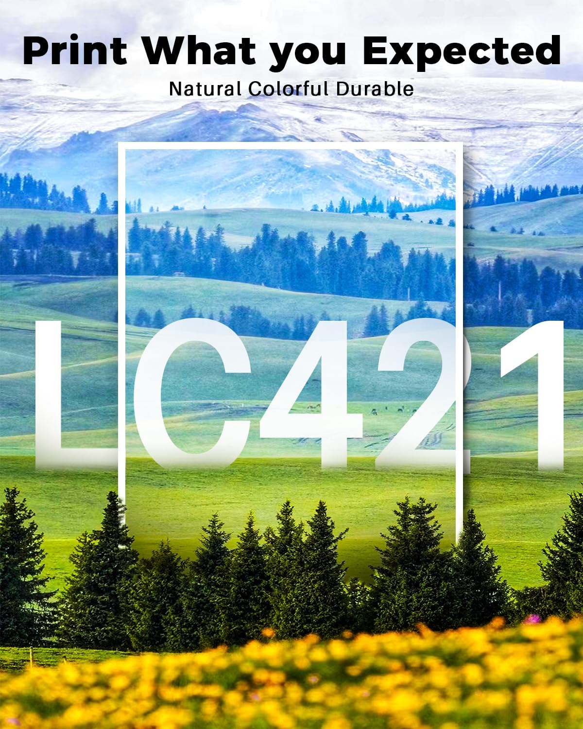 Thumbnail 4 de Cartucce LC421 compatibili Skydo (LC421 Nero, Ciano, Magenta, Giallo) per Brother DCP-J1050DW e MFC-J1010DW, confezione da 4