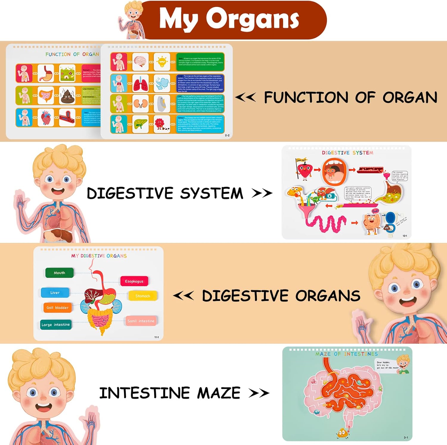 Detalle de Freebear Montessori Busy Book: Human Body Anatomy for Kids